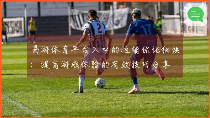 易游体育平台入口的性能优化秘诀：提高游戏体验的有效技巧分享