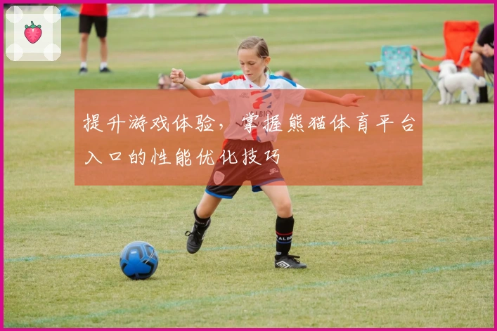 提升游戏体验,掌握熊猫体育平台入口的性能优化技巧